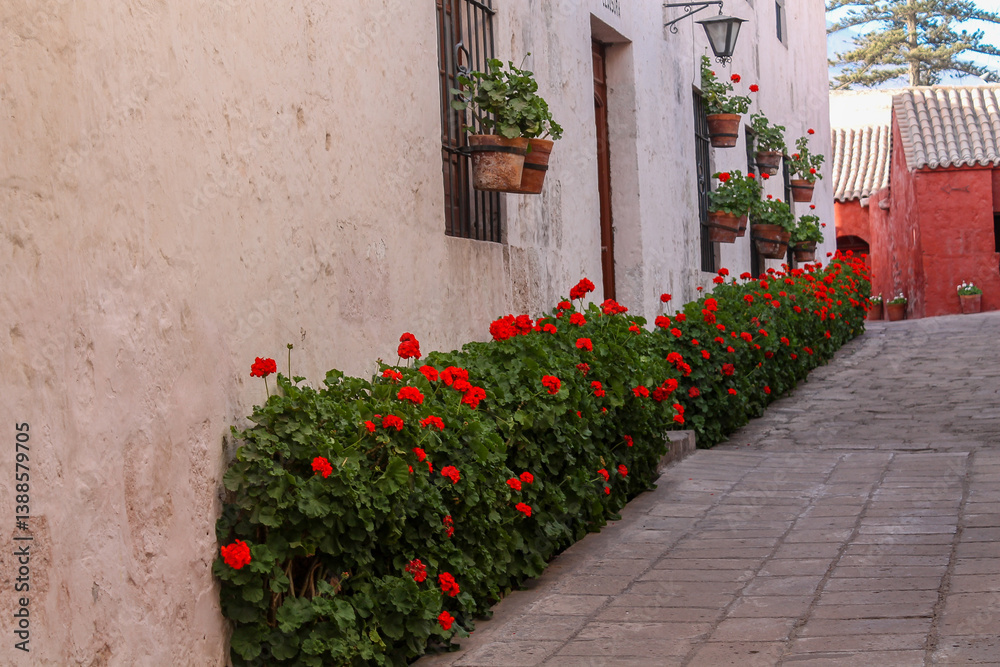 Naklejka premium Arequipa, Peru Santa Catalina monastery of Dominican nuns. Famous monastery tourist attraction Arequipa city center, South America, Peru. Vibrant colors of Spanish colonial architecture