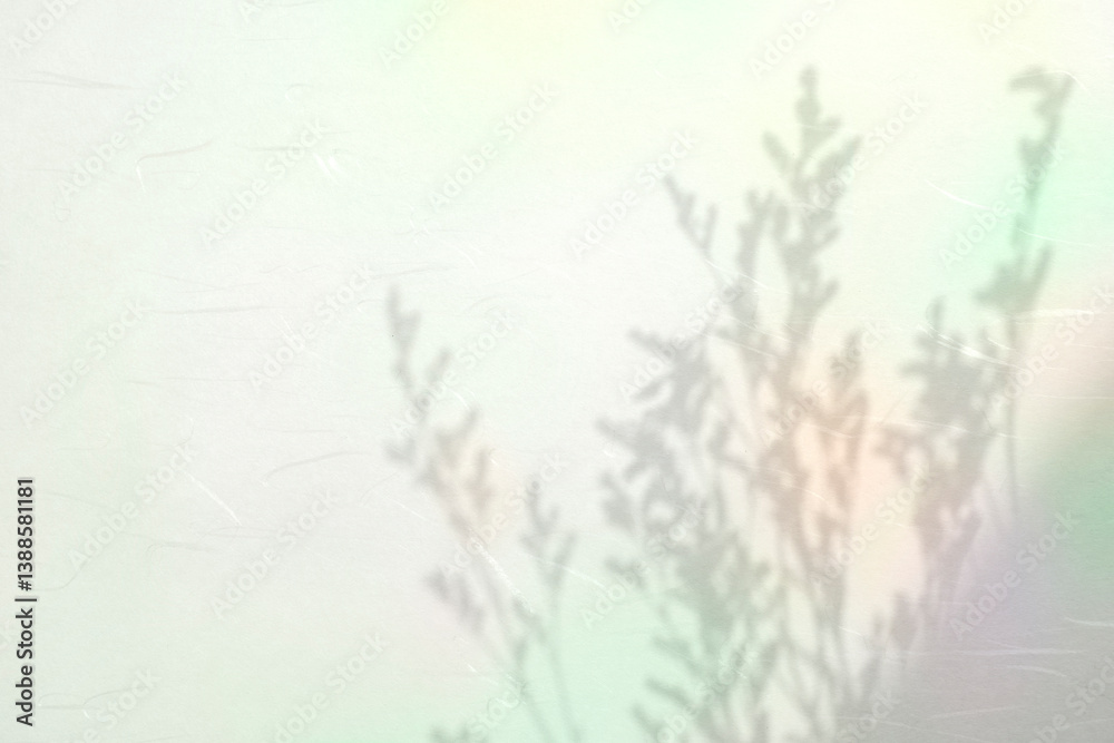 Obraz premium 컬러풀한 식물 그림자 배경,표지 이미지