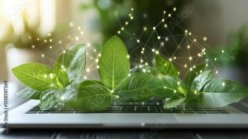 Plants on laptop, connection grid