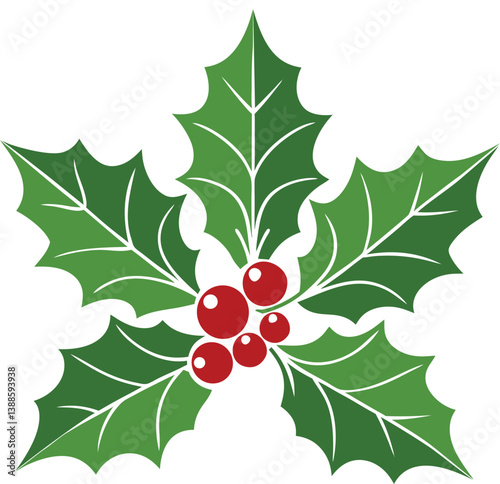 holly and berries vector