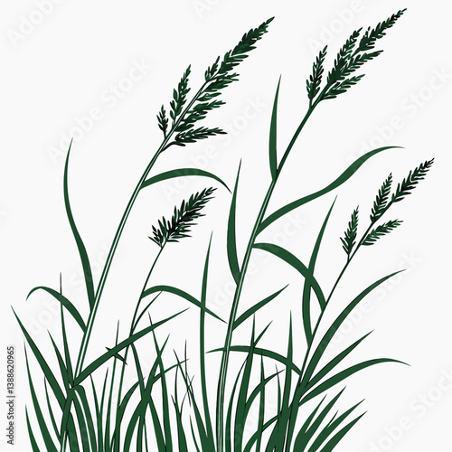 green grass background