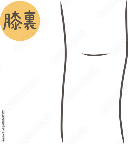 膝の裏側のパーツイラスト