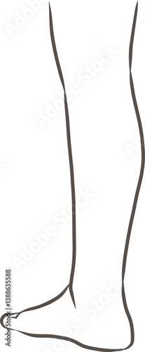 女性のふくらはぎのパーツイラスト