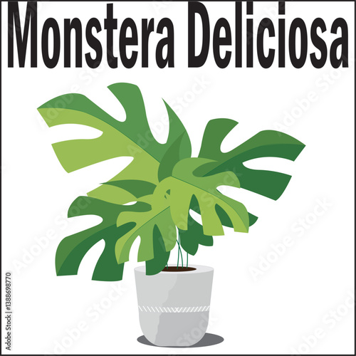 Vector illustration of potted monstera plant in flat style. Perfect for home decor, eco-friendly designs, and botanical projects. Enhance your interiors with this stylish, vibrant houseplant graphic.
