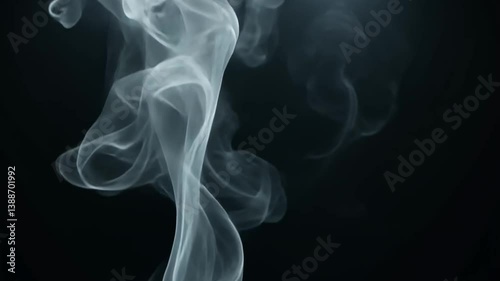 Wallpaper Mural Ephemeral Dance: A graceful plume of ethereal smoke ascends against a stark, black backdrop, the delicate curves and wisps creating a visual ballet of ephemeral beauty.  Torontodigital.ca