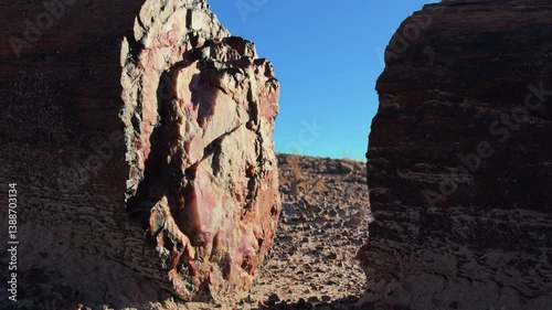 Large petrified log split into pieces stands in desert landscape at Petrified Forest National Park. Sunlight casts shadows on mineralized surface, highlighting colors and textures of fossilized wood.