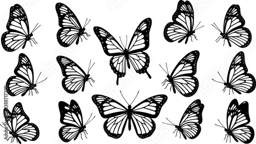 Set of contours of  monarch butterflies with different wings isolated on a white background. Vector silhouette of butterfly is perfect for patriot sticker, icon and decoration design