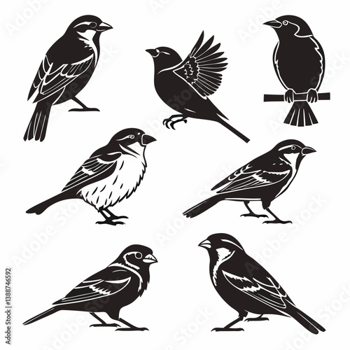 set of birds