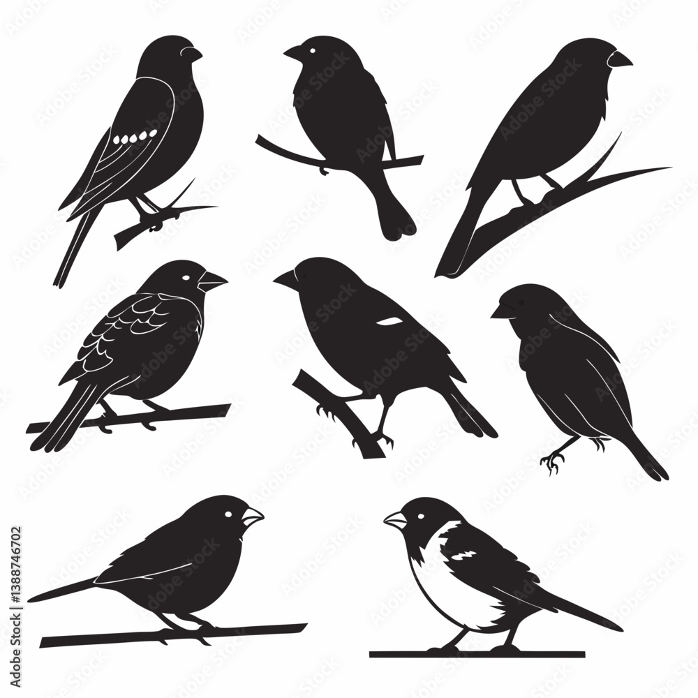 set of birds set of birds