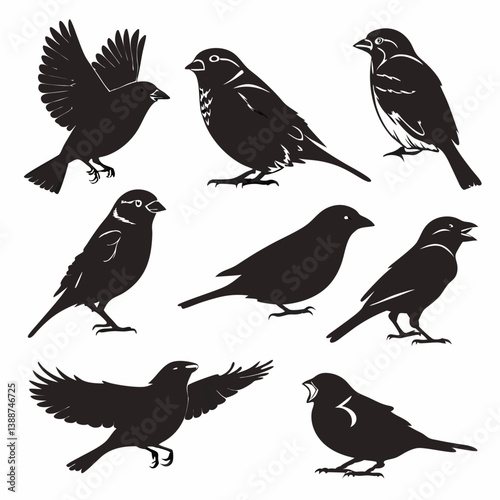 Wallpaper Mural set of birds Torontodigital.ca