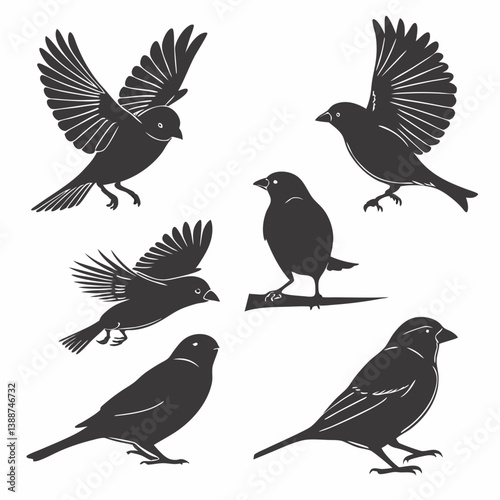 set of birds