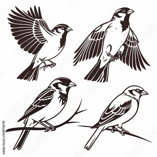 set of birds
