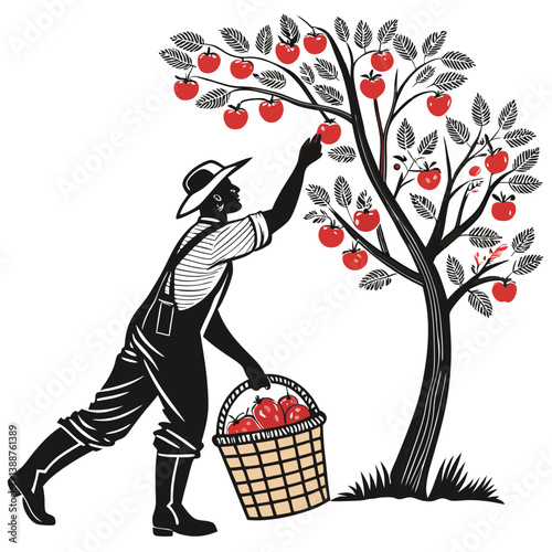 Create a bold vector illustration of a farmer picking apples from a tree.  Focus on strong lines and a striking silhouette.