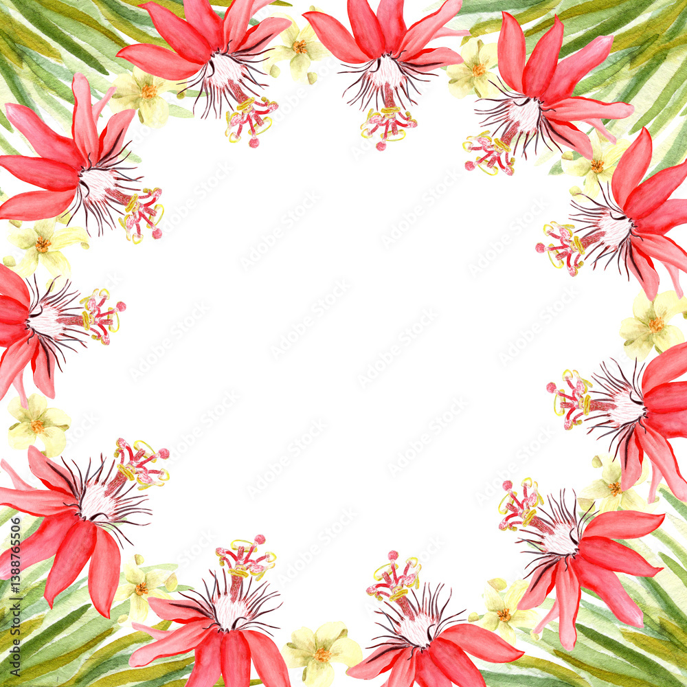 Red passion flower, palm leaves watercolor frame isolated on white. Hand drawn rainforest nature clipart, sketch style. Round frame perfect for cards, botanical prints, posters design. Exotic plant Red passion flower, palm leaves watercolor frame isolated on white. Hand drawn rainforest nature clipart, sketch style. Round frame perfect for cards, botanical prints, posters design. Exotic plant