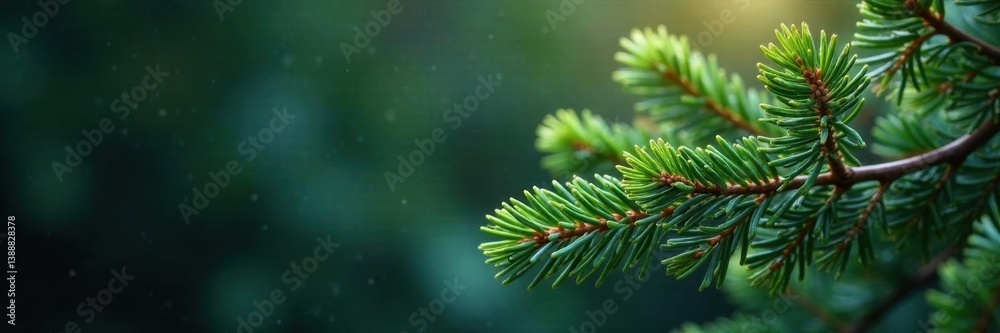 Intertwined pine branches, sophisticated design, sophisticated, surface Intertwined pine branches, sophisticated design, sophisticated, surface