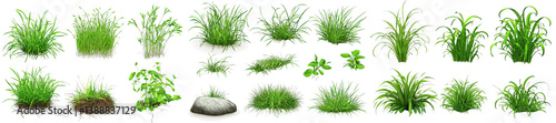 3D Model Grass Variety Pack Isolated on Transparent Background, Grass tufts, plants, weeds, vegetation, foliage, asset