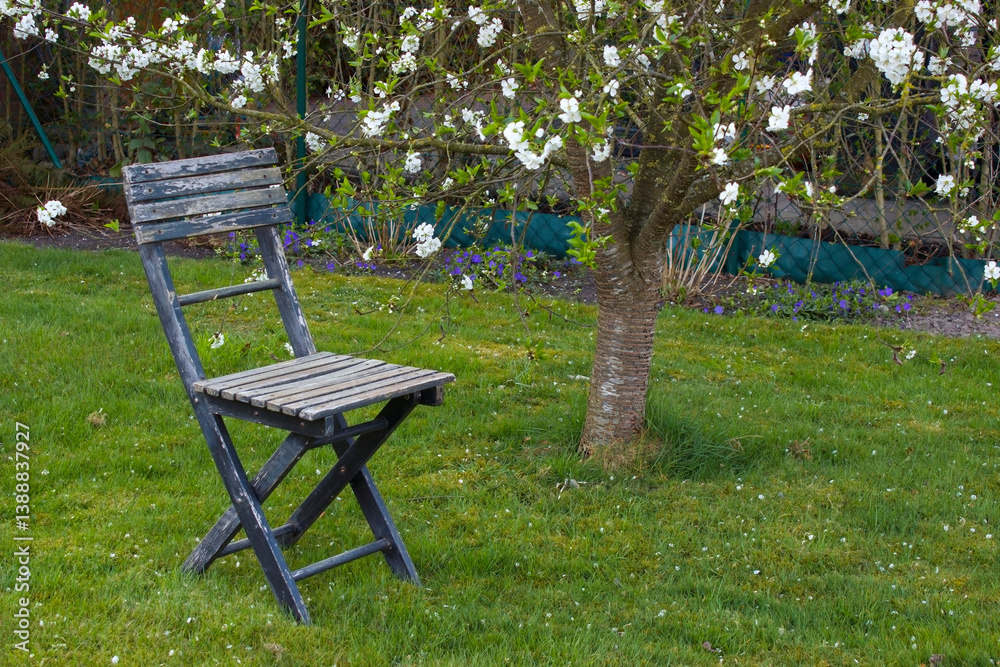 old chair in the garden - springtime