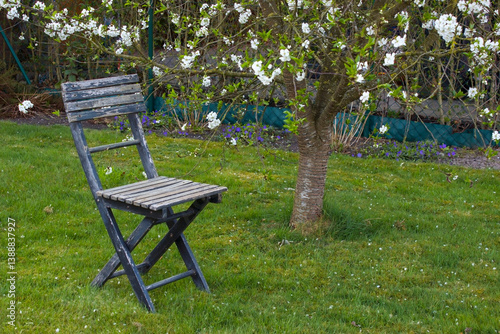 old chair in the garden - springtime