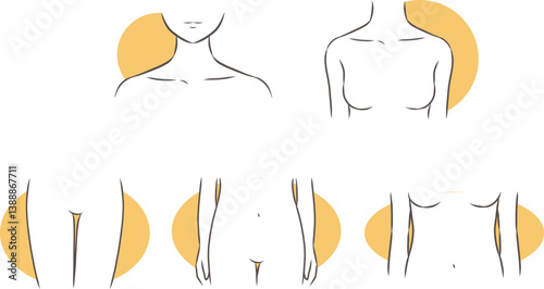 正面から見た女性の身体のパーツイラストセット