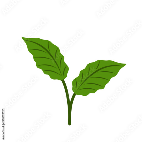 Illustration of green leaves 