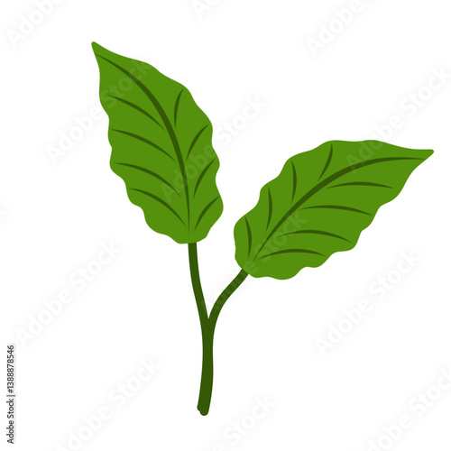 Illustration of green leaves 