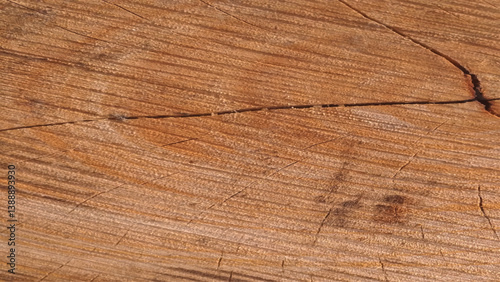 Wooden Texture Background. Vector illustration.