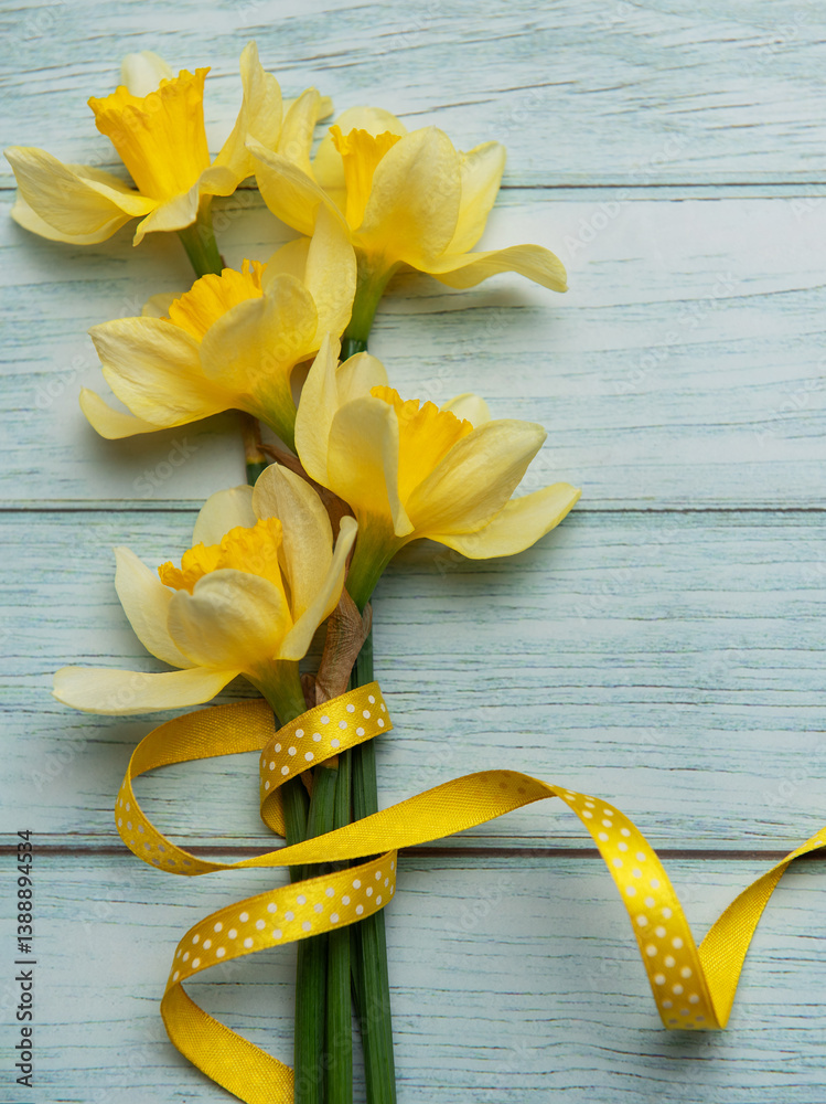 Yellow daffodils with ribbon lying on blue wooden background