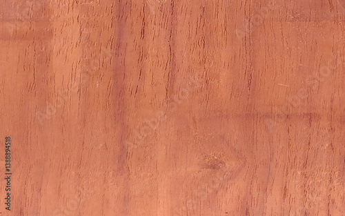 Wooden Texture Background. 