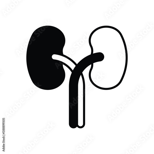 Kidneys icon isolated on a white background. Vector illustration.