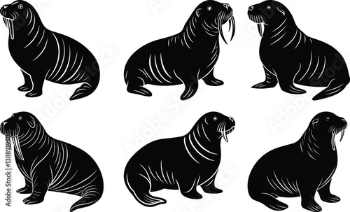 Walrus Silhouette vector