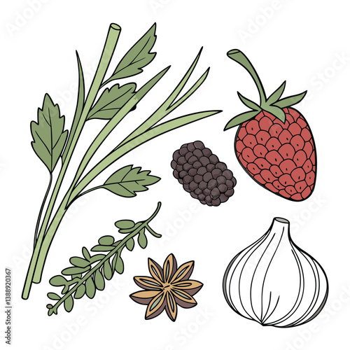 Amora, framboesa. Frutas, verduras, alimentos, temperos, comida. Isolados em fundo branco. 