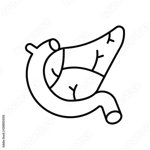 Pancreas icon isolated on a white background. Vector illustration.