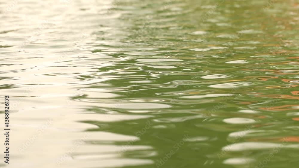 A Slow Motion Shot of Lake Water in India
A Slow Motion Shot of Lake Water in India