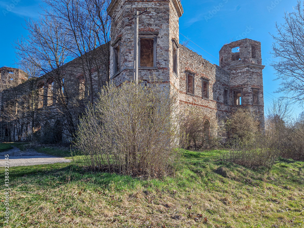 Ruins of Tarlow Palace in Podzamcze Piekoszowskie, Poland.