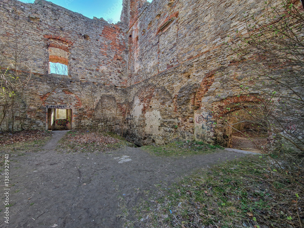 Ruins of Tarlow Palace in Podzamcze Piekoszowskie, Poland.
