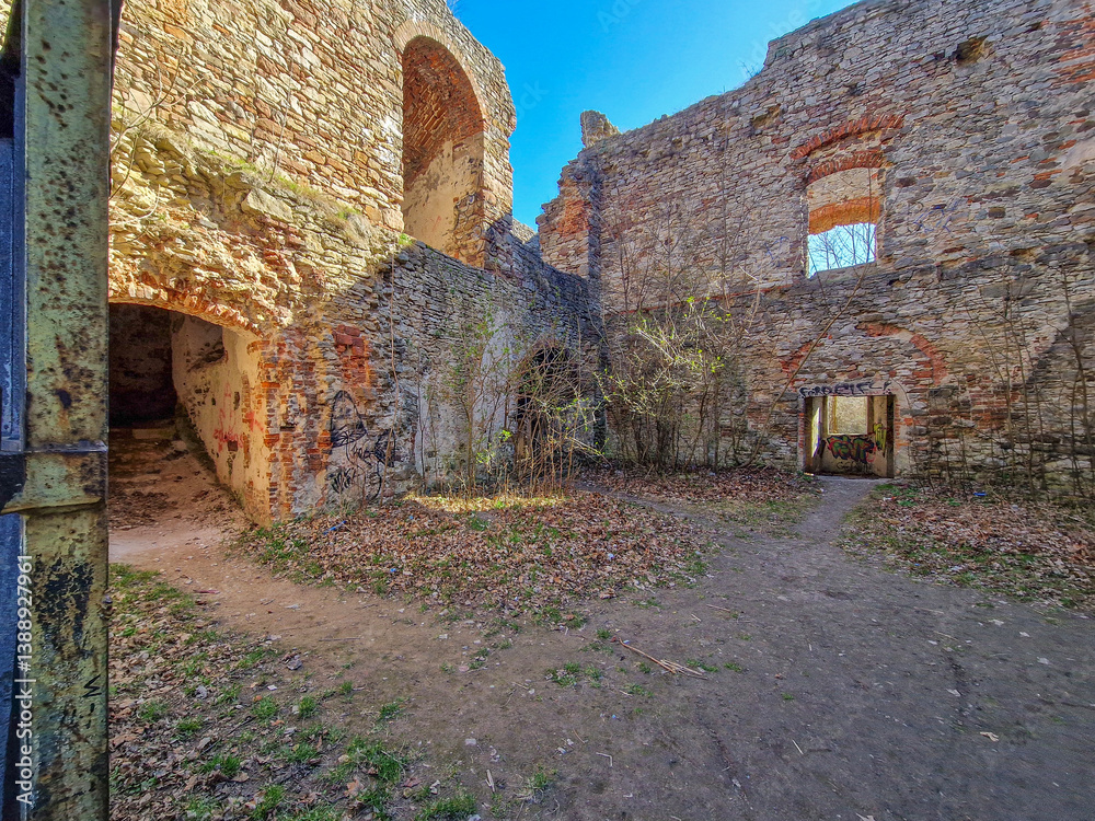 Ruins of Tarlow Palace in Podzamcze Piekoszowskie, Poland.