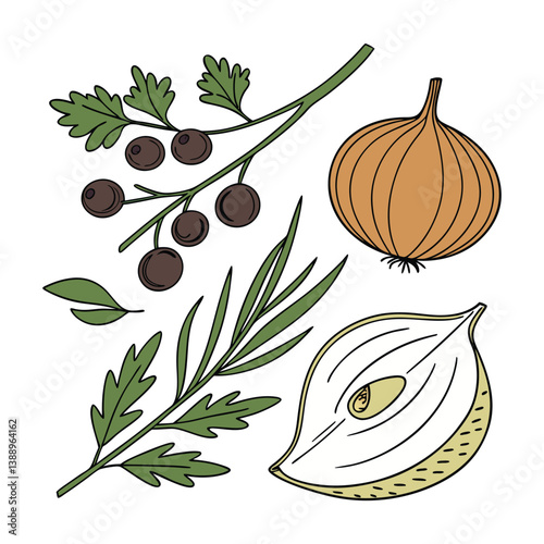 
Cebola, rama, cabeça de cebola com casca, Frutas, verduras, temperos frescos. Isolados em fundo branco. 