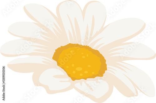 Daisy Flower Illustration