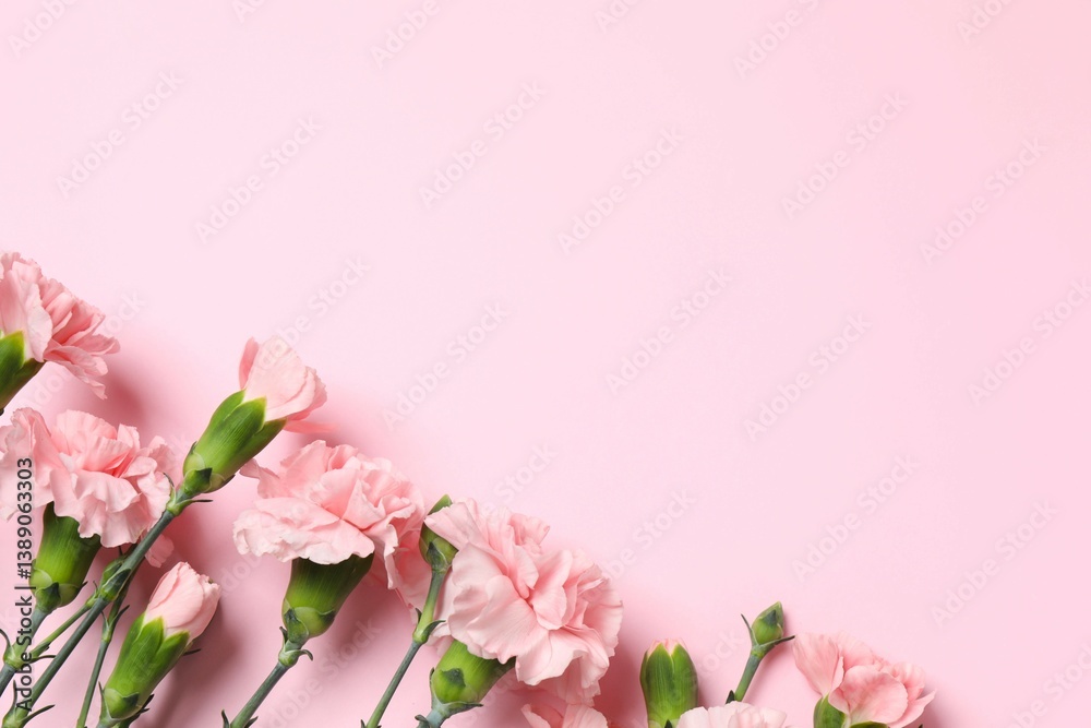 Obraz premium Beautiful bouquet of pink carnations on a colored background