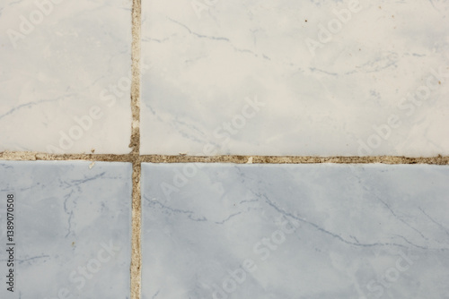 Black mold on ceramic tile seam