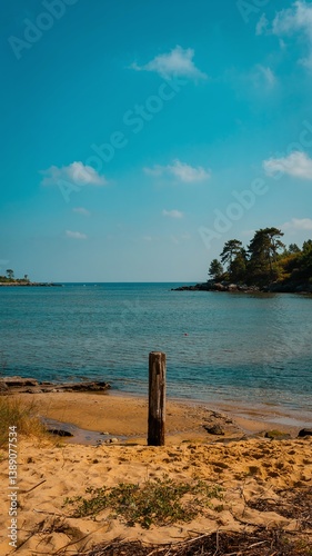 A stunning sea view with a sandy shore, showcasing a vibrant landscape with vivid colors. Tranquil waves meet golden sands under a breathtaking sky, perfect for travel and nature themes. 
