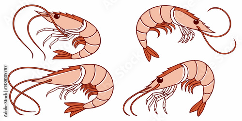 Vector Set of 4 Simple Cartoon Pink Shrimp Illustrations Seafood Prawns Crustaceans