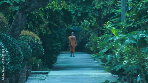 Theravada Buddhist monk wearing a saffron robe is walking through the juicy green alley, goes forward to meet destiny, Thailand. Slow mo, slow motion, high speed camera, 200fps