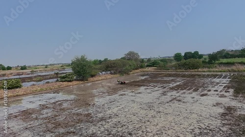 High angle footage of soil preparation before rice planting.