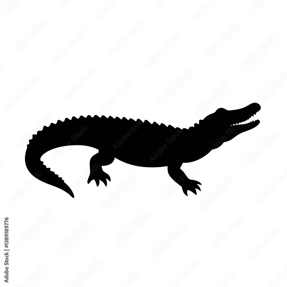 Naklejka premium crocodile isolated on white background