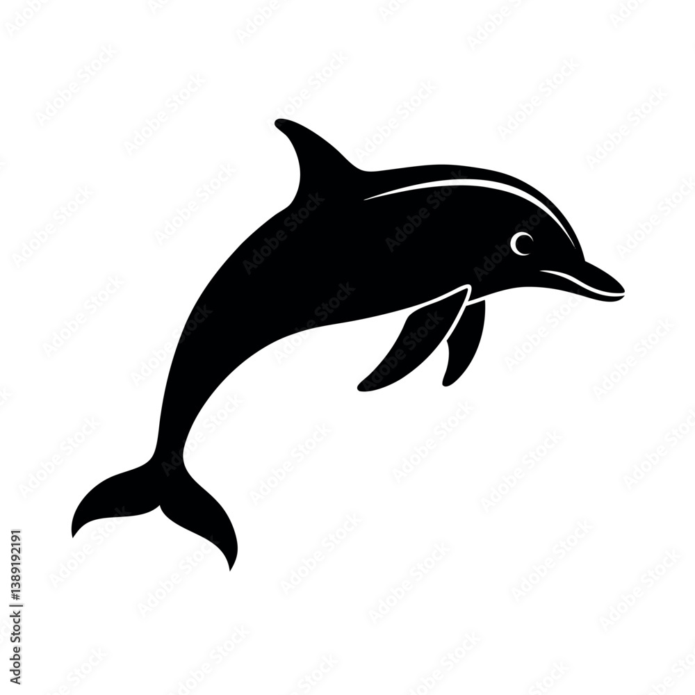 dolphin isolated on white background dolphin isolated on white background