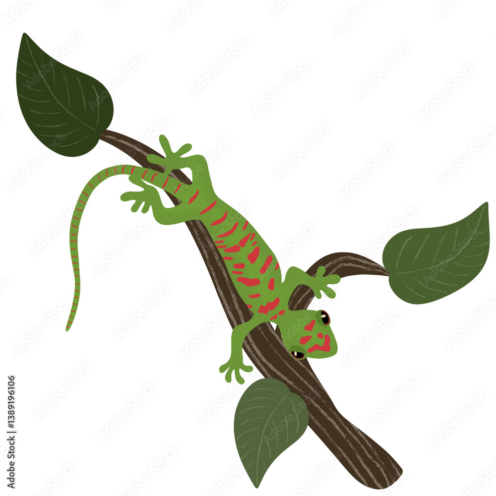 Obraz premium gecko on a branch