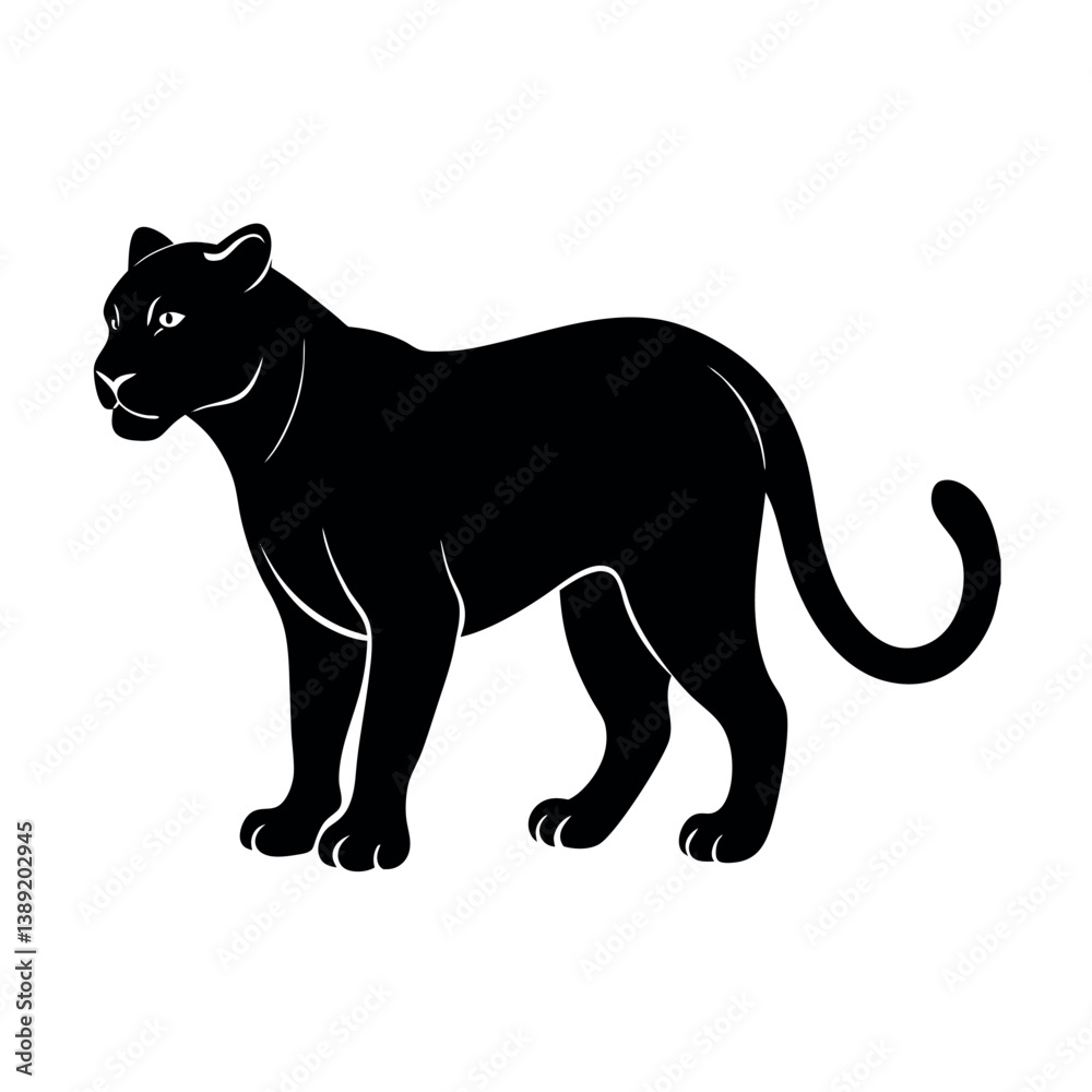 Obraz premium Adobe Illustrator Artwork