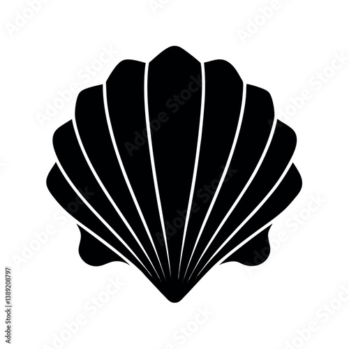 vector illustration of a seashell