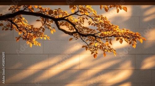 Autumn leaves on a light beige wall